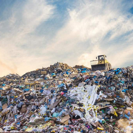 3 Questions To Ask Yourself Before Making Your Next Purchase